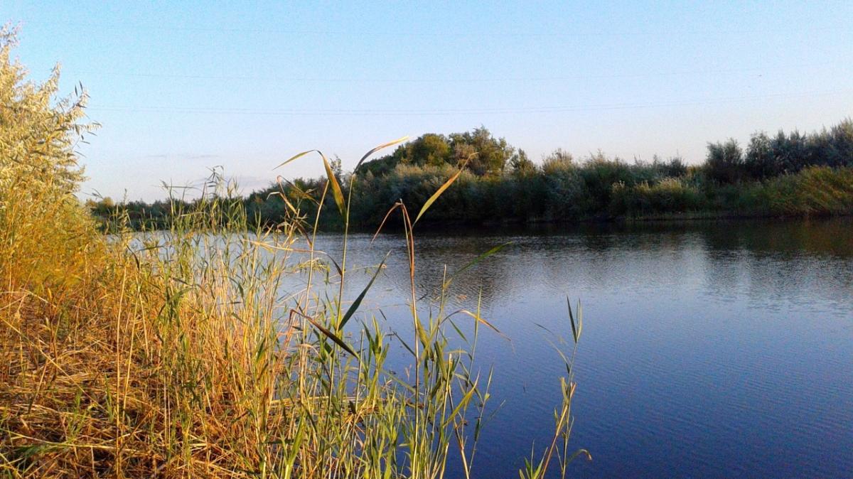 Под Саратовом женщина пошла купаться с 3-летней внучкой и утонула