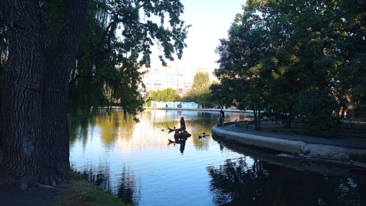 Губернатор Бусаргин сделал заявление о городском парке в Саратове
