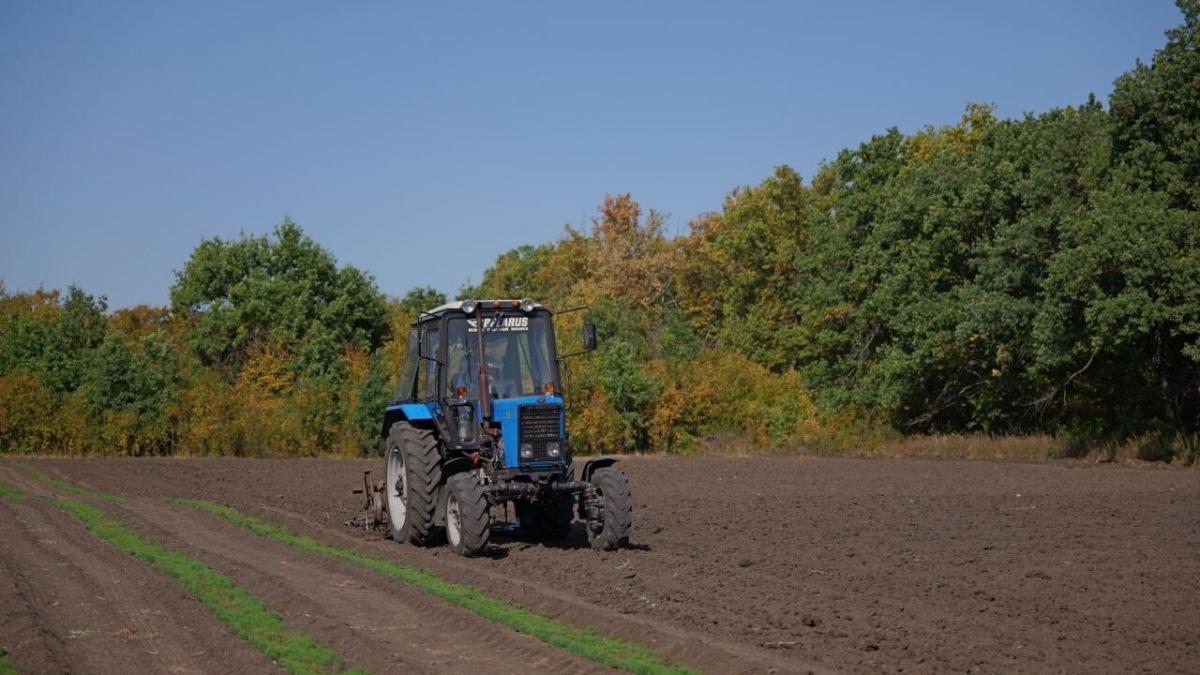 Бусаргин: в Саратовской области готовятся к масштабной высадке деревьев