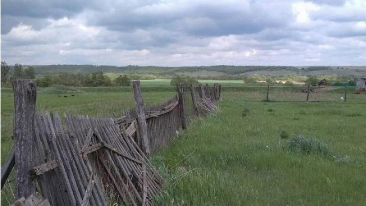 Дети под Саратовом могли отравиться из-за неразберихи с лекарствами