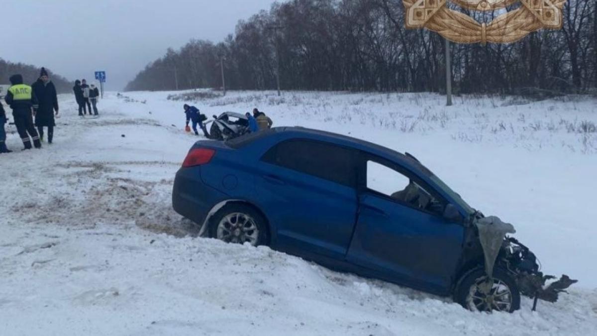 Под Саратовом в жутком ДТП погибла женщина и двое пострадали