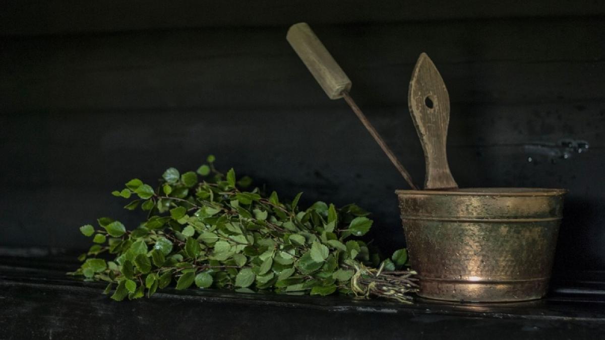 Саратовским туристам предложат заготовку банных веников и лекарственных трав