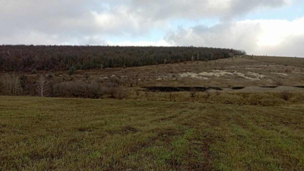 Посевная-2026: Саратовская область увеличит площади под гречиху, пшеницу, горох