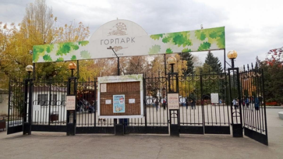 В городском парке Саратова планируют спилить 61 дерево