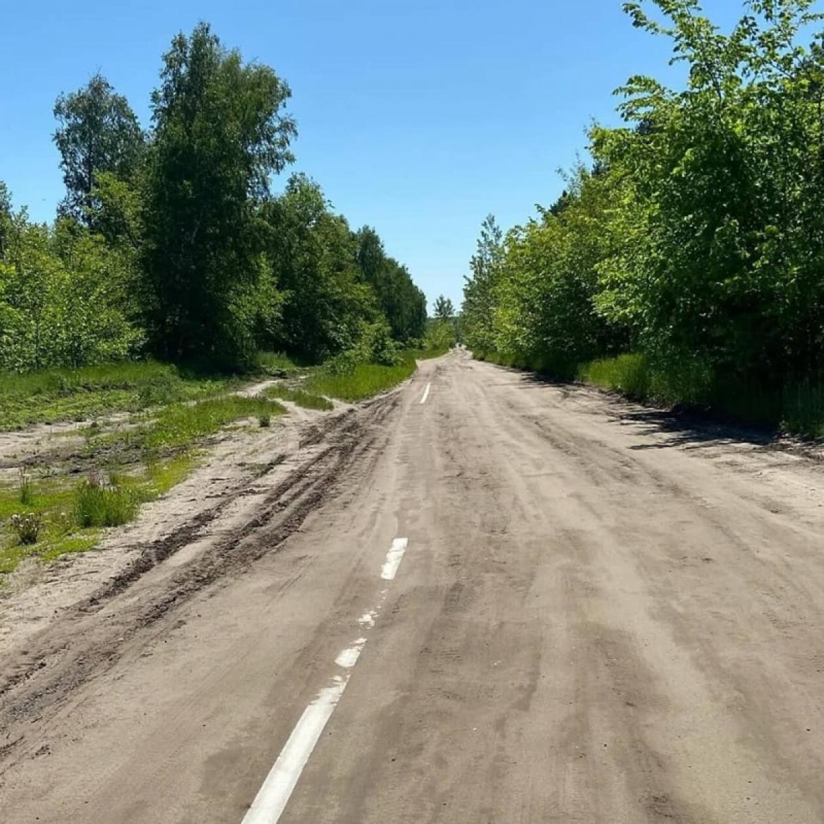 Разметка на грунтовой дороге – в Петровске объяснили, для чего это нужно