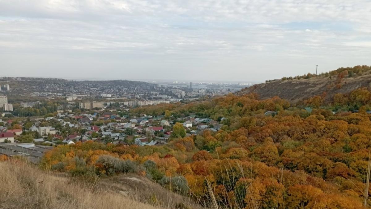 По 31 октября: в Саратовской области ввели ограничения на посещение лесов