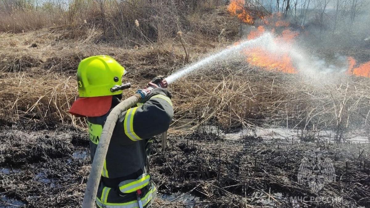 В Саратове огонь с загоревшегося камыша перекинулся на частный дом