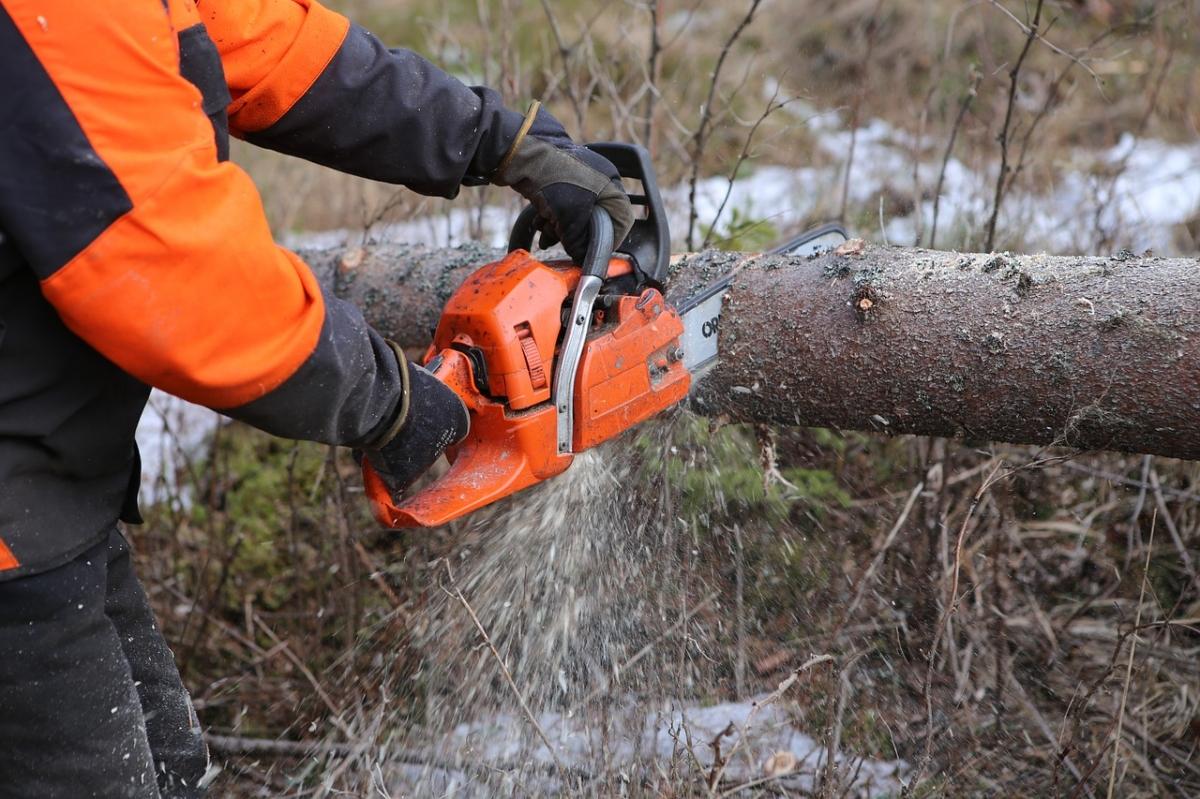 Опилили деревья, провели ямочный ремонт – чем занимаются «пропавшие» депутаты