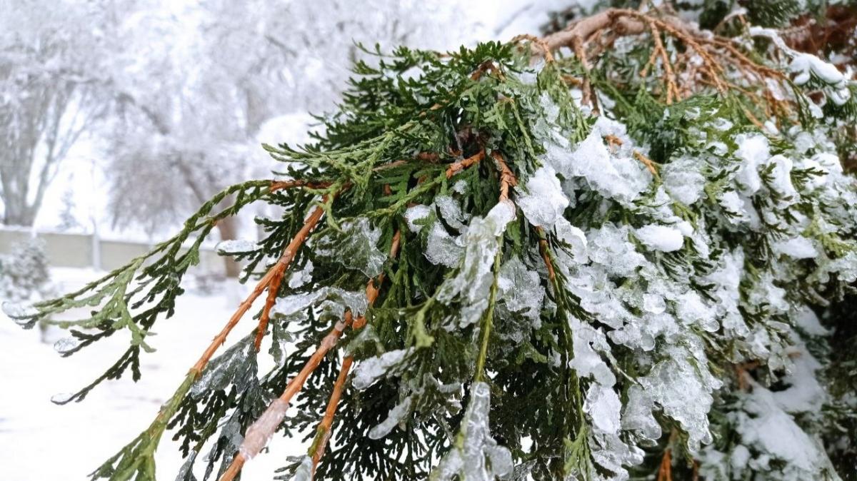 Минобразования: из-за сильных морозов отменены занятия в ряде саратовских школ