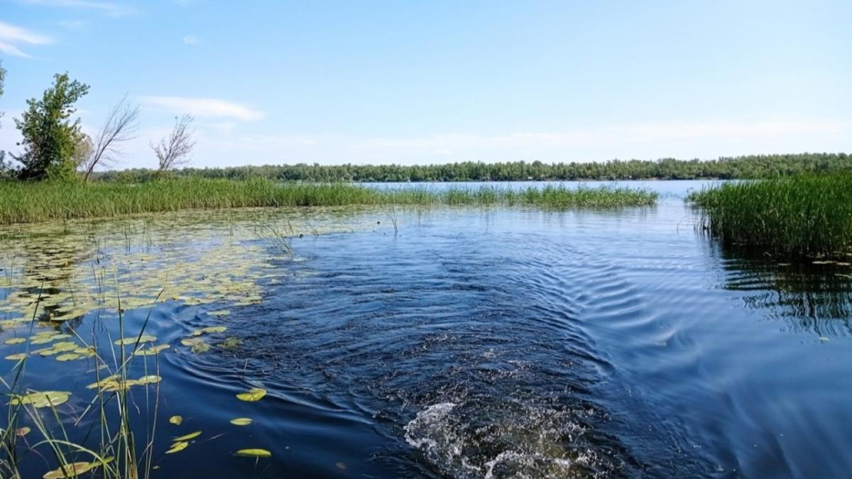 В Саратовской области на новом катере за 40 млн рублей спасли пять человек