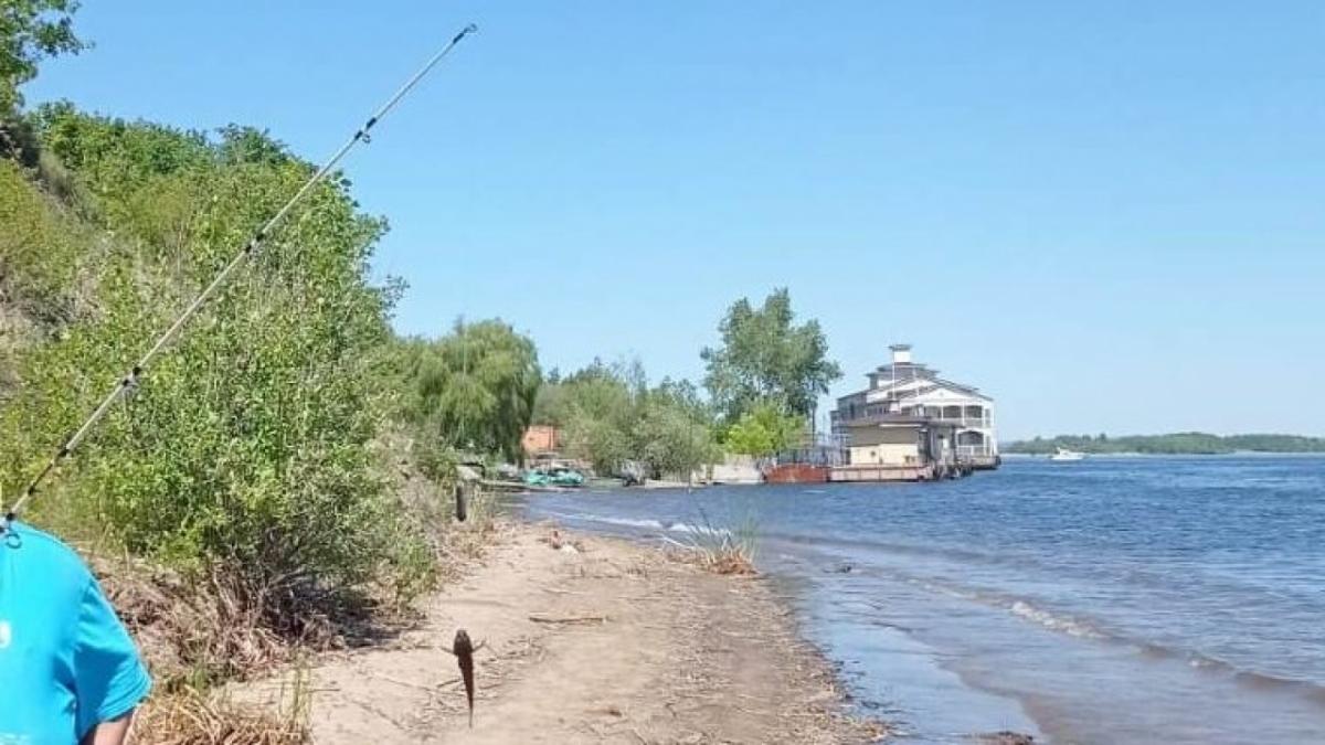 Сома с себя ростом поймал саратовский рыбак в районе Усовки
