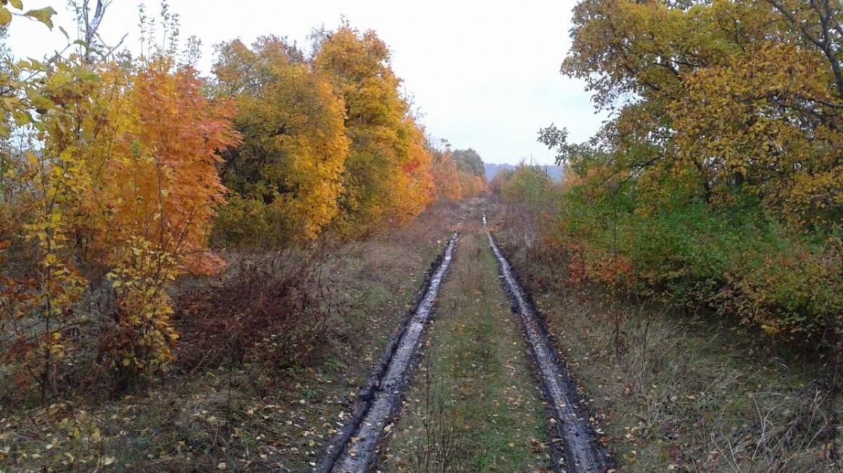 На развитие саратовских сел направят 116 млн по федеральной программе