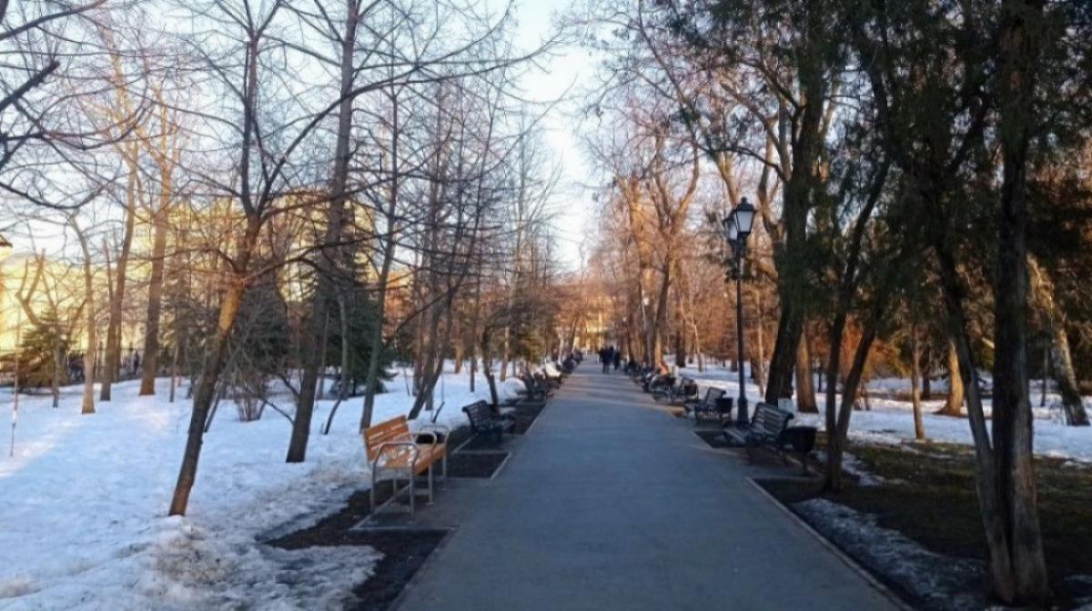 Соцфонд рассказал саратовцам о принципиально новой выплате работающим гражданам