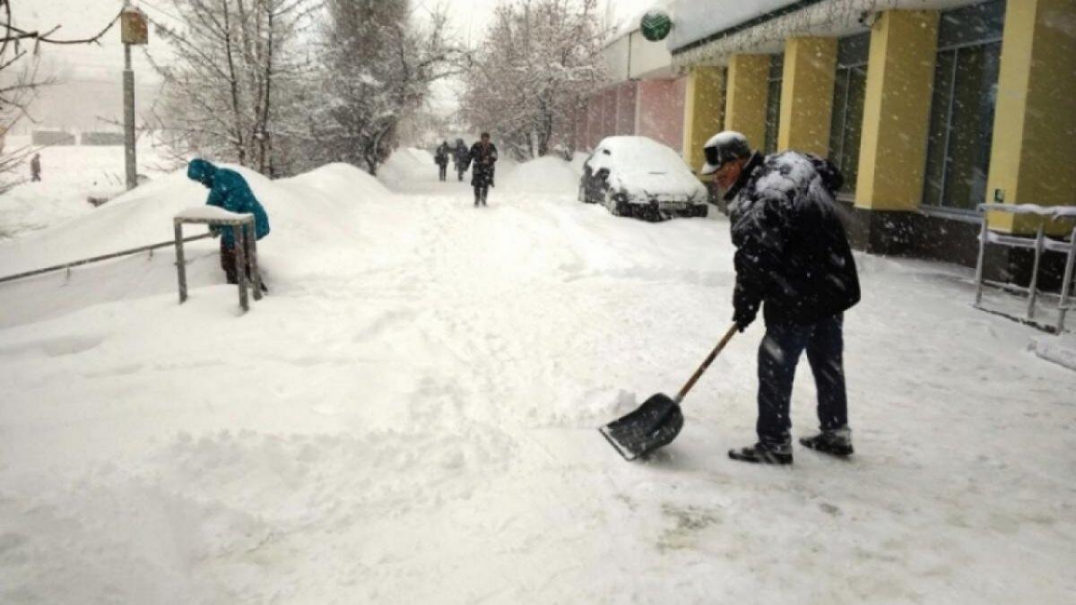Саратовцы раскритиковали городские власти за уборку снега 