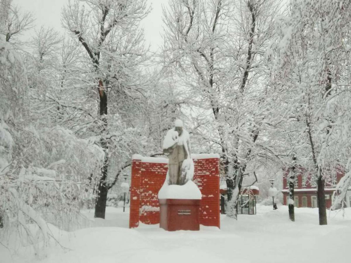 Саратовский мониторинг. Снег. Саратовскую область снегопады и метель. В Саратовской области ожидается первая метель. В первый день зимы саратовцам обещают снег.