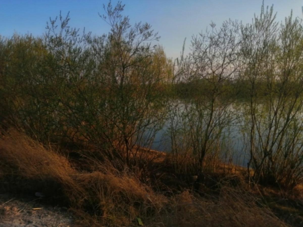 На прогулке с собакой по берегу реки женщина нашла труп 14-летней девочки