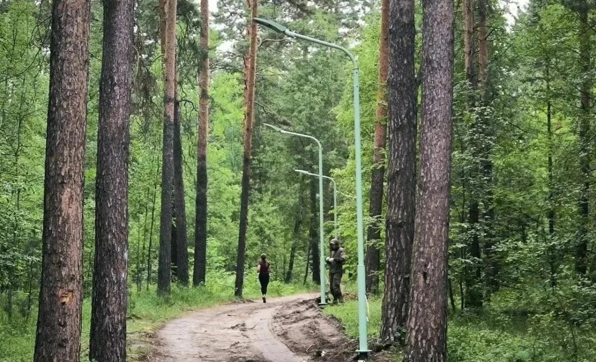 Под Саратовом благоустроили лесопарк, посаженный гимназистами до революции
