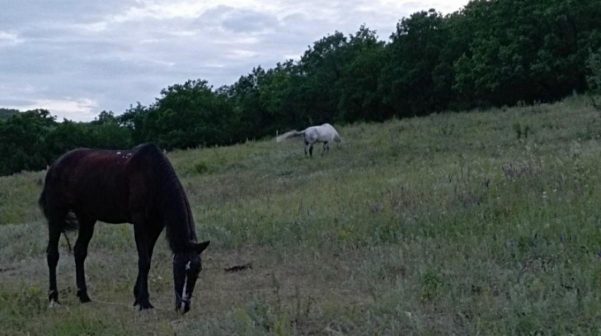 В Саратовской области расширили список профессий для получения бесплатной земли