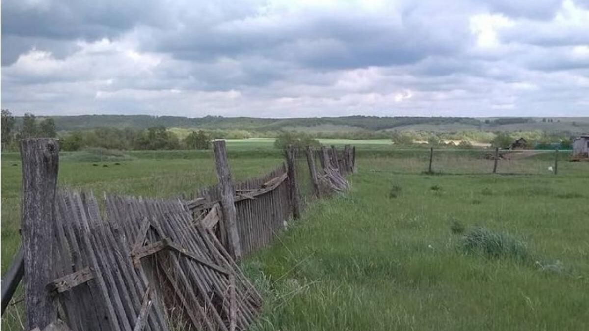 В 5 саратовских селах появились интернет и сотовая связь