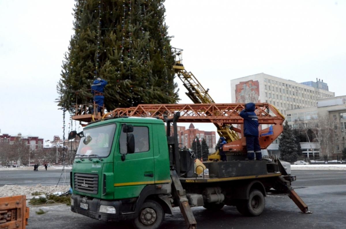350 сосен на переработку: в Саратове приступили к демонтажу новогодней елки