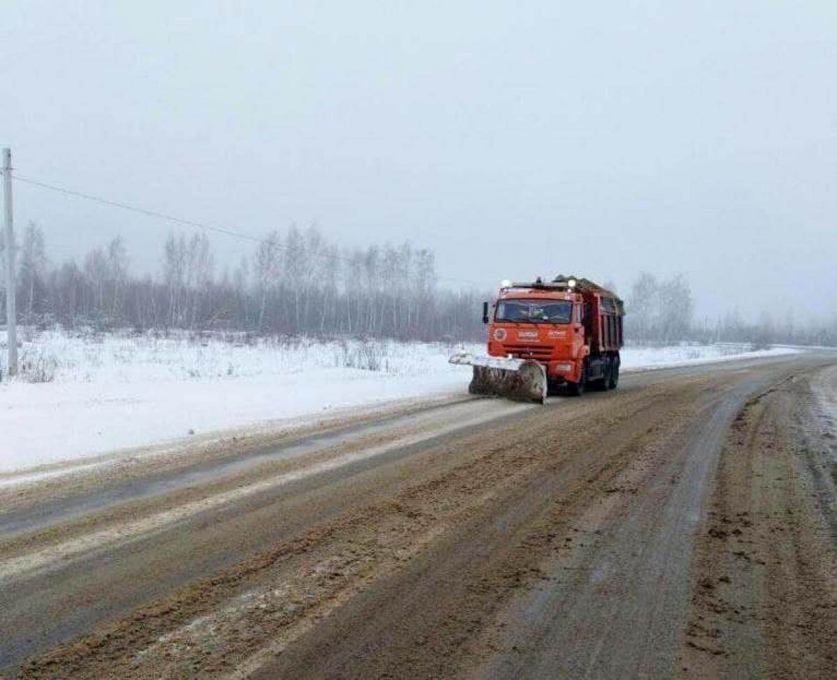 В Саратовской области ожидается сильный ветер, метель, снегопад