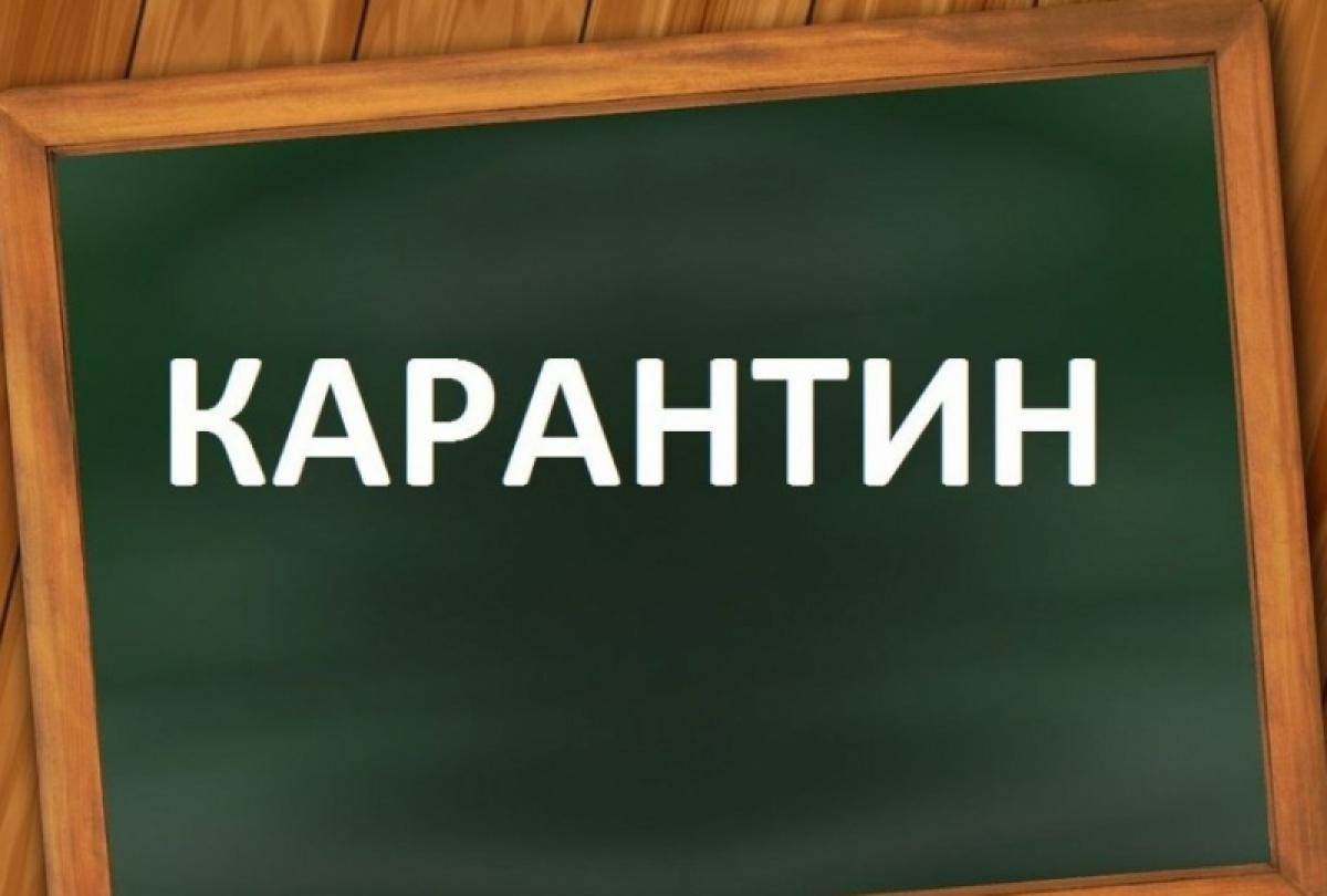 Переход на дистанционку: плюс еще одна школа в Саратовской области