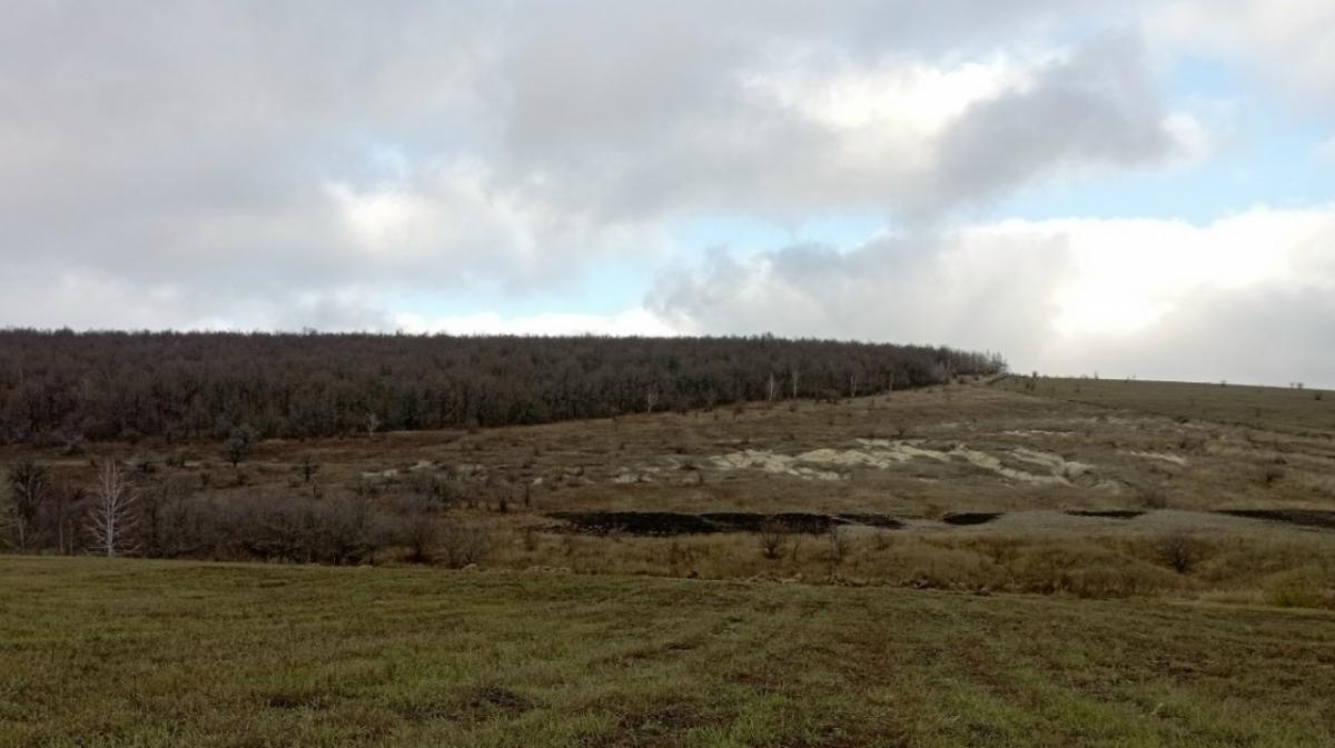 Геологоразведка-2025: под Саратовом обнаружены гигантские залежи соли