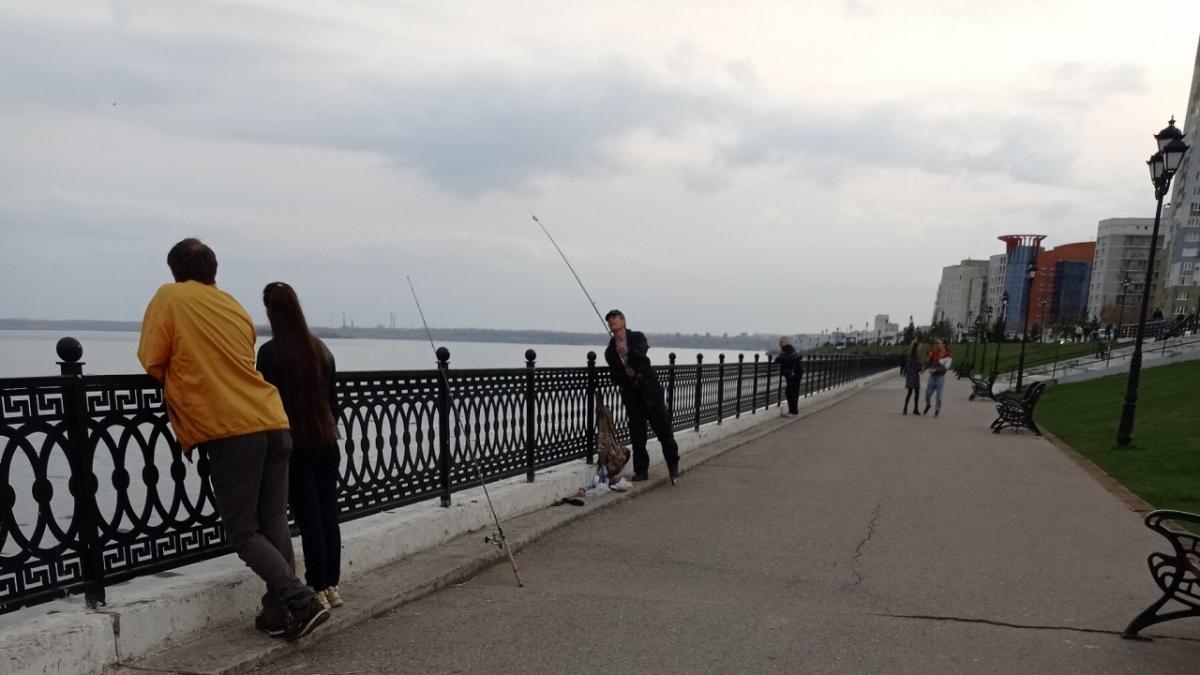 Судаков и густеры наловили рыбаки на набережных Саратова и Энгельса 