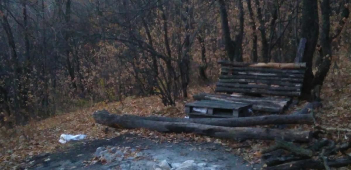 Тело 20-летней девушки в посадках: злоумышленники стреляли в нее из травматического пистолета