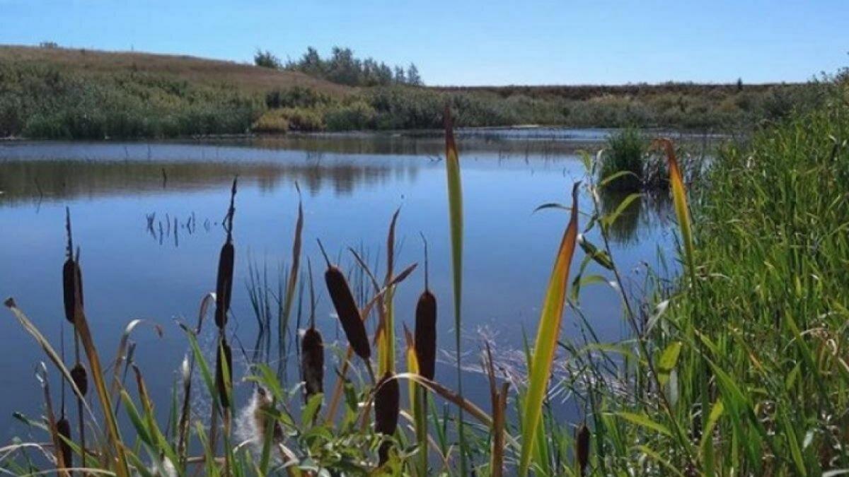 Мужчины на моторной лодке плыли по Волге и нашли под Саратовом мертвую женщину