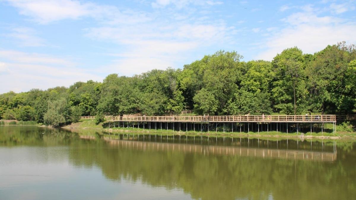 Мокроусова поручила разместить в парке «Семхоз» лавки с мороженым 