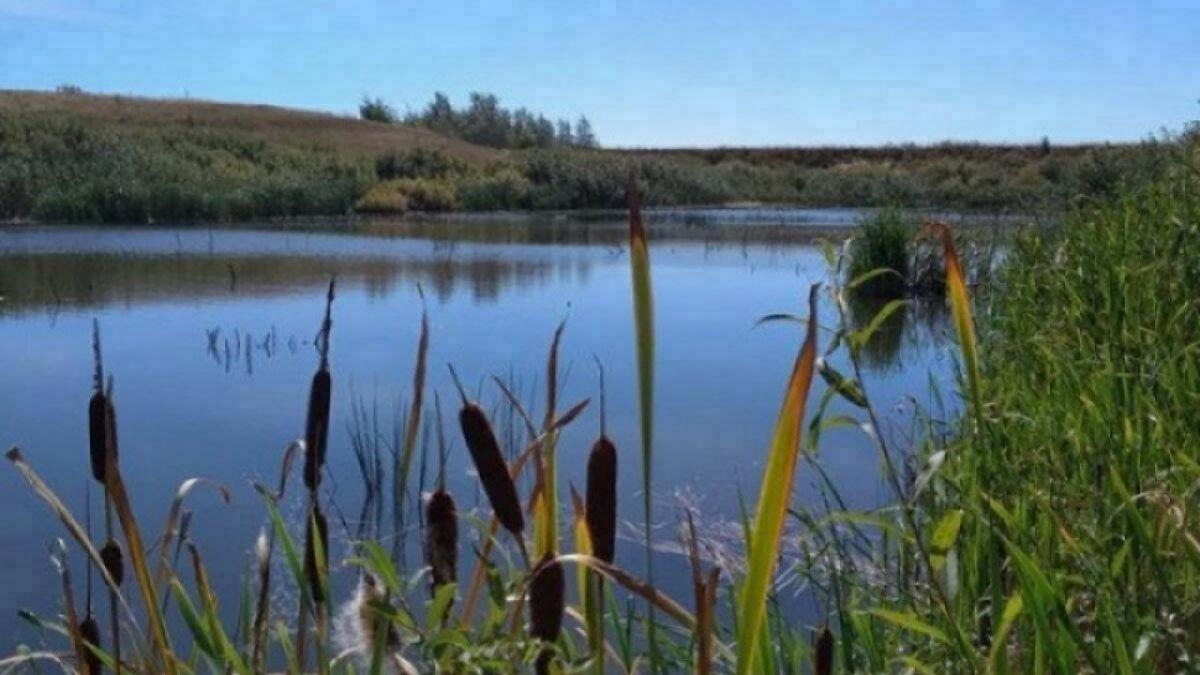 В Саратовской области 100 млн выделят на закачку водоемов Левобережья