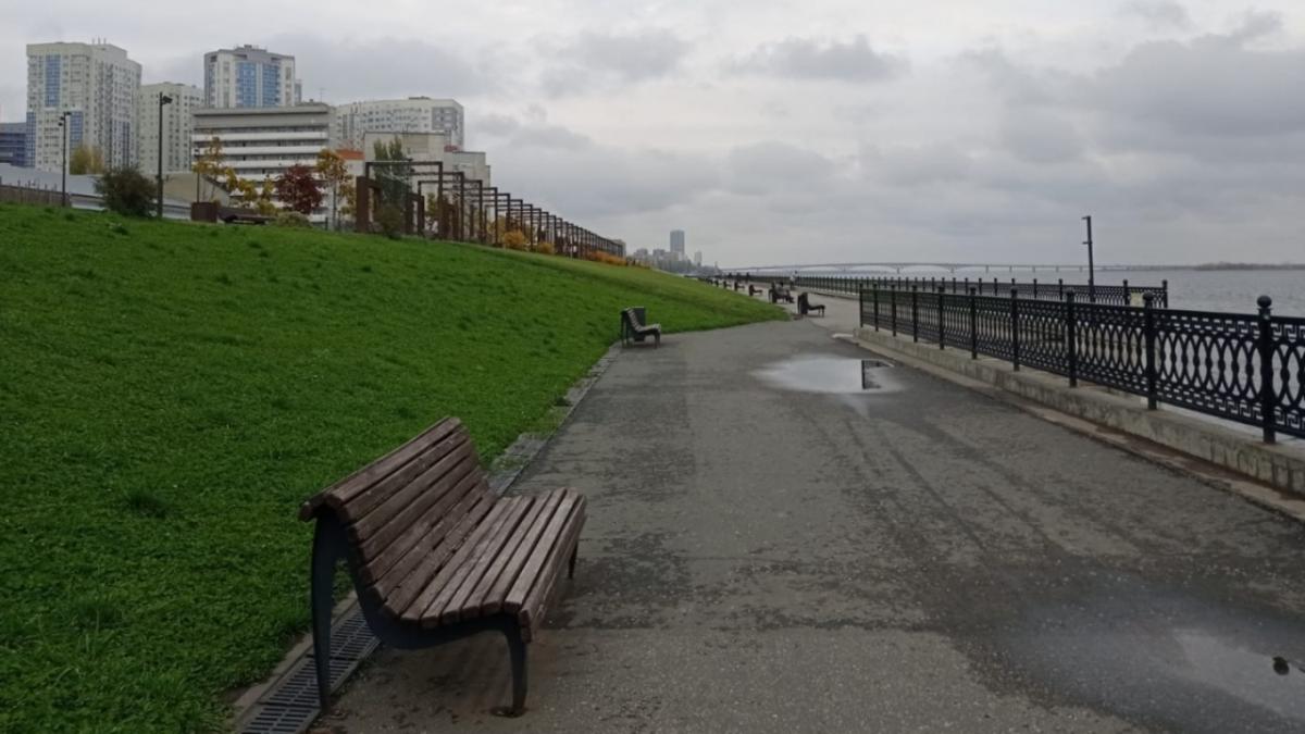 Федпроект: 78 млн сэкономил саратовский производитель фарша и котлет