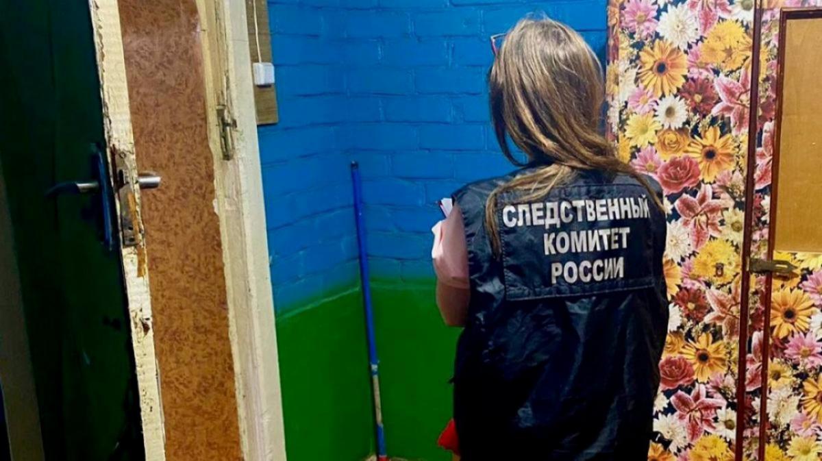 Женщина и ребенок лишились рассудка из-за избиения 27-летним мужчиной