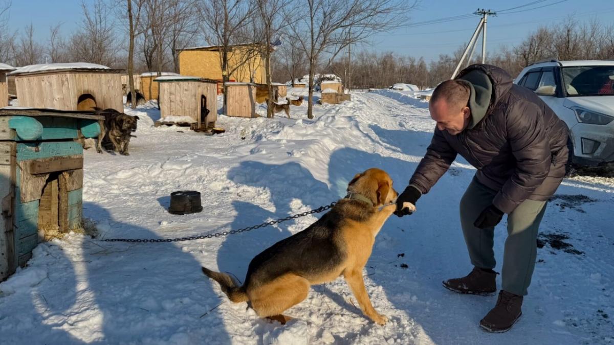 Вячеслав Калинин оказал помощь приюту для бездомных собак «Верность»