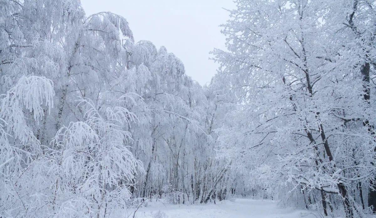 В Саратове открыли новый парк со смотровой площадкой и экотропой в 2,5 км