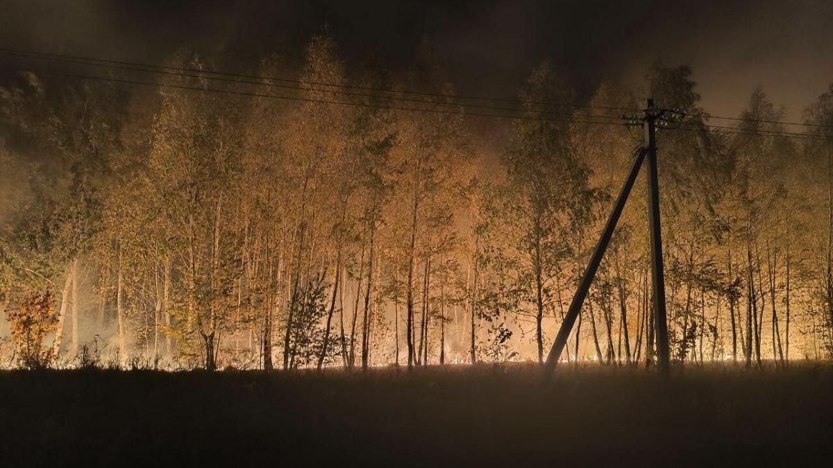 Под Саратовом загорелись посадки вдоль федеральной трассы