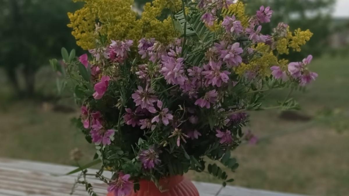 Саратовцам напомнили про реальные штрафы за сорванные тюльпаны из Красной книги