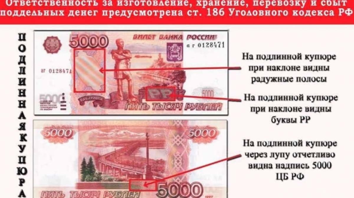 Саратовские полицейские рассказали, как отличить настоящую купюру от фальшивки