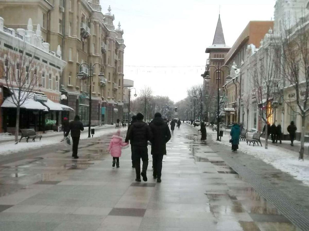 «Минирующая моль»: власти Саратова объяснили, почему в центре города были вырублены каштаны