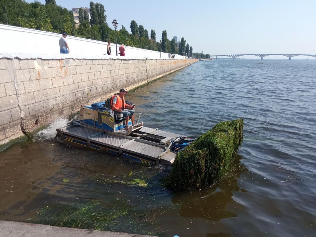 Очистка волги от водорослей