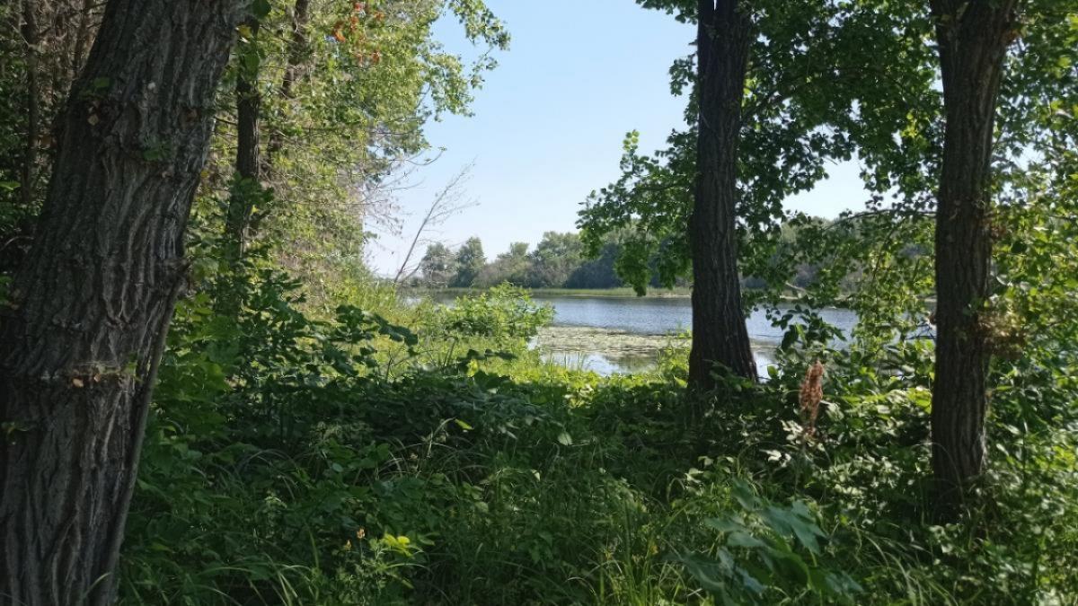 Штрафы за костры в саратовских лесах достигли миллиона рублей