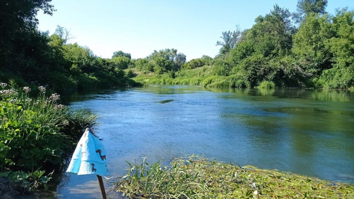 В Балашове расчистят 6 километров русла реки Хопер