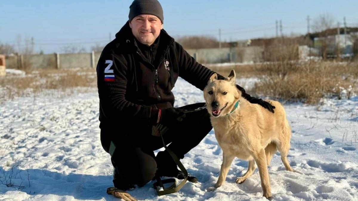 Калинин рассказал о первых днях спасённой собаки Роуз на новом месте