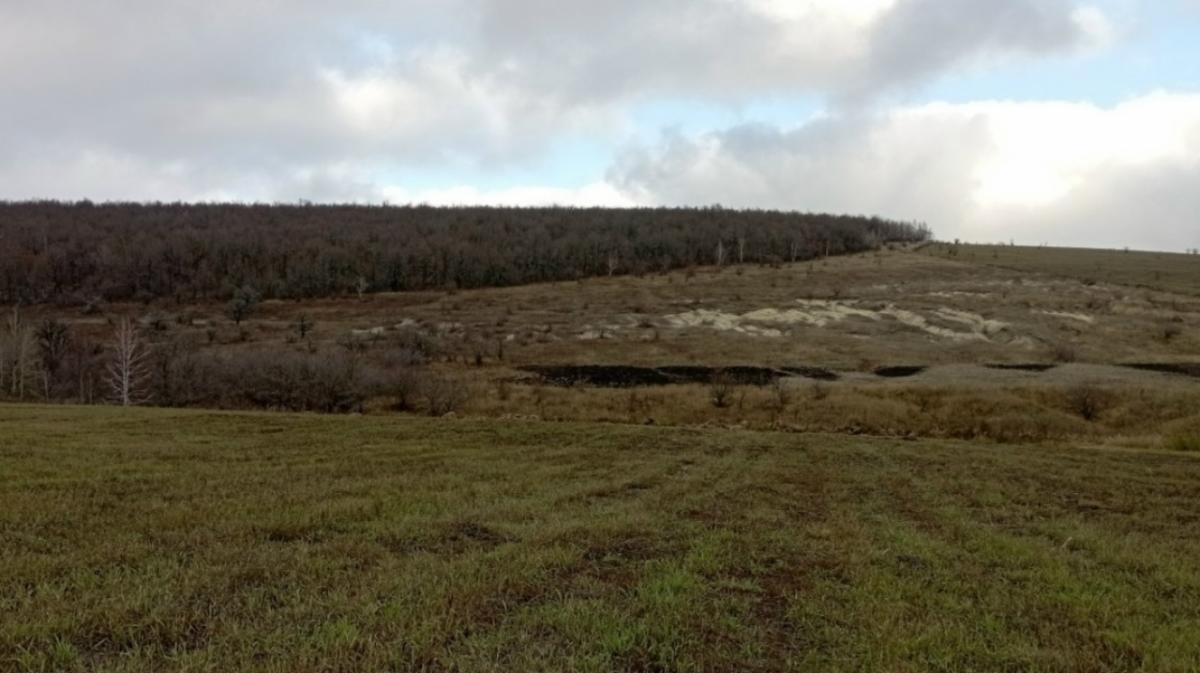 Археологи показали всем найденные 10 лет назад сокровища из саратовского оврага