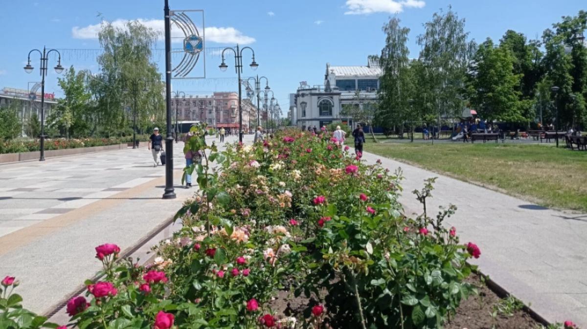 Саратовский минздрав осудил практику «ветряночных вечеринок»