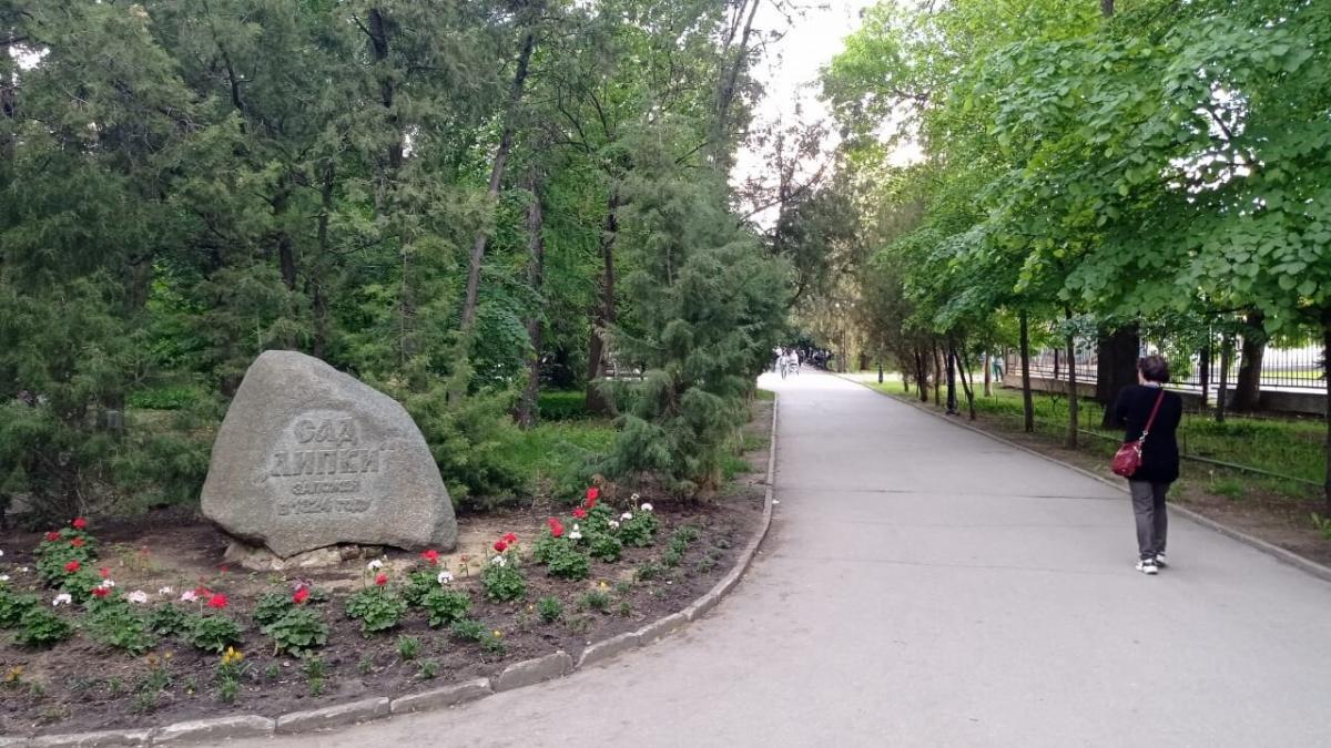 Власти Саратова высадили цветы и плодовые деревья в парке «Липки»
