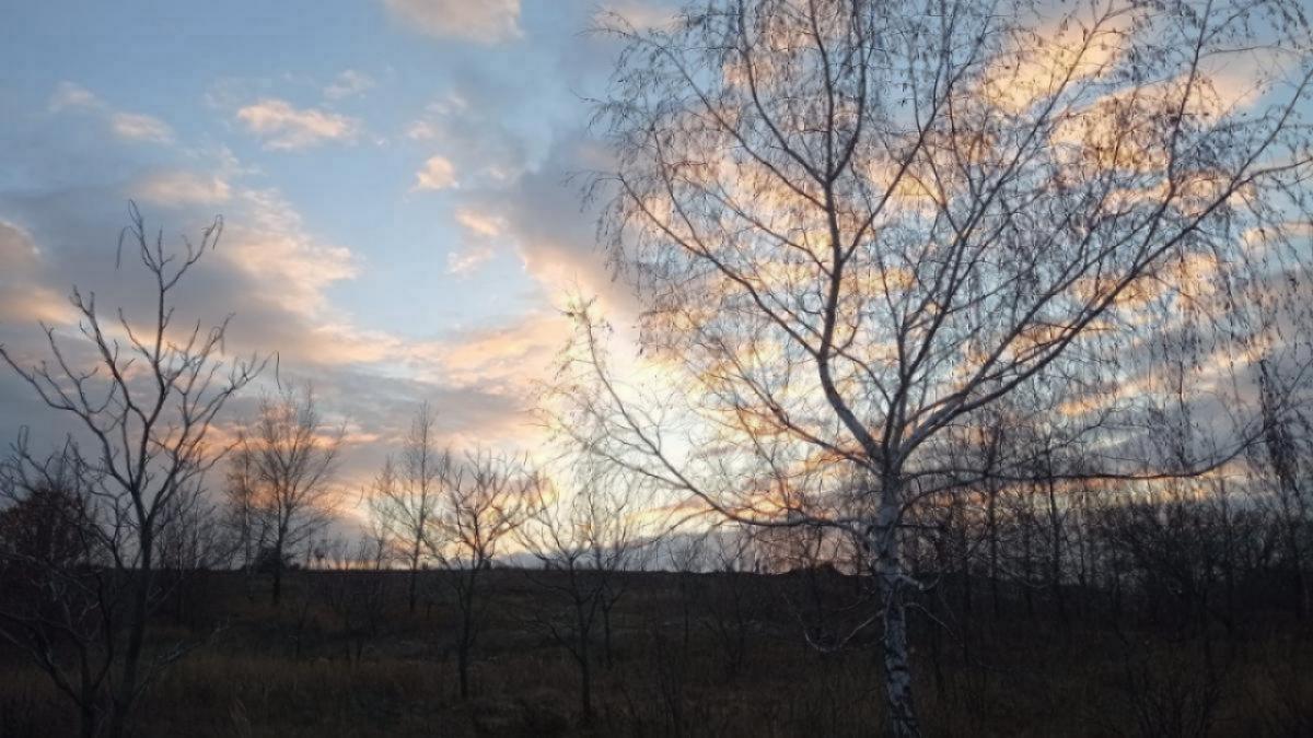 Угроза атаки БПЛА: саратовцев просят выключить свет и отойти подальше от окон