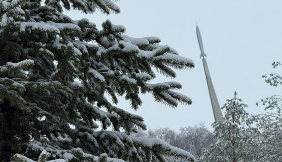 Саратовцев и туристов пригласили на прогулку с кофе в Парк покорителей космоса