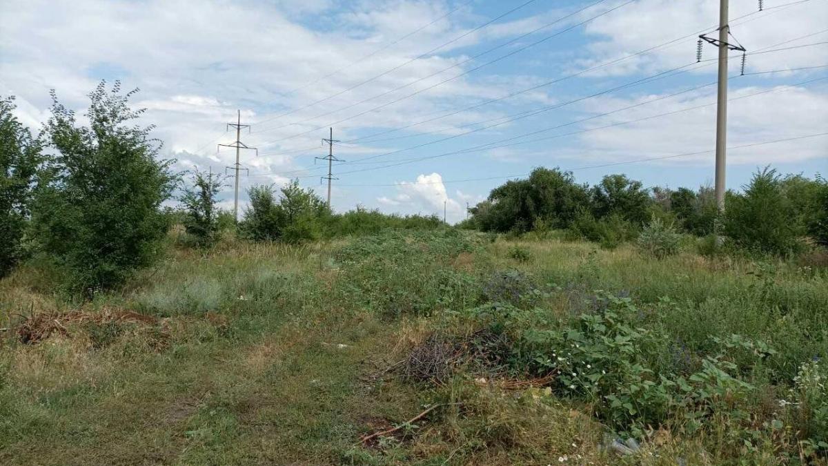 В поле под Саратовом нашли тело пропавшего 3 дня назад мужчины